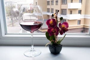 Белая студия рядом с Южным вокзалом 16