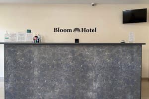 Отель Bloom Hotel