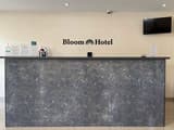Отель Bloom Hotel