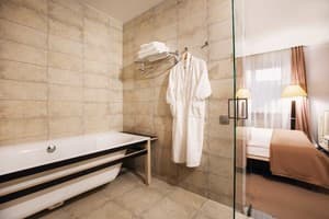 Отель Cosmopolit Hotel. Делюкс двухместный с 1 кроватью 4