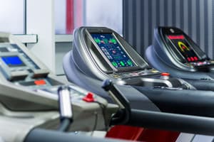 Mirax Boutique Hotel 4* 17