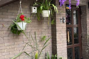 WINE & ROSE BOUTIQUE HOTEL 3